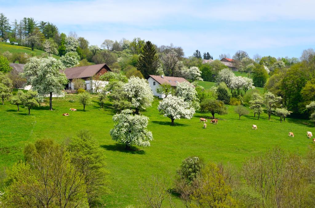 Ferienwohnung Vonwald Michelbach Εξωτερικό φωτογραφία